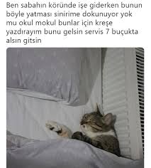 Cok Sinir Bozucu Cok Komik Komik Resimler Komik Seyler