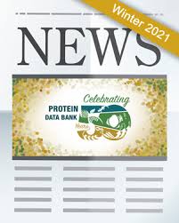 Protein data bank (pdb) is the single worldwide archive of structural data of biological macromolecules. Rcsb Pdb Rcsb Pdb Newsletter Archive