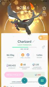 Feel free to follow me on other social media. Bug Charizard Still Costs 200 To Mega Evolve Even After Mega Evolving It Once Thesilphroad