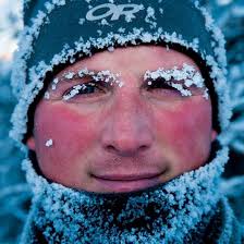 Wildlife photography — Photopedia — about photography