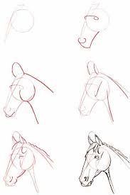 Retirado Da Internet Schizzi Di Animali Disegni Di Cavalli Disegno Di Cavallo
