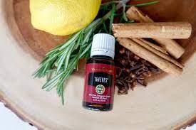 We did not find results for: All About Thieves Essential Oil Blend Recipes With Essential Oils