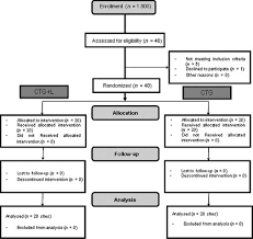 Consort Flow Chart Of The Study Ctg L Connective Tissue