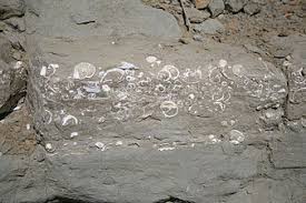 Batu pasir adalah klas yang terpenting dalam batuan sedimen. Batuan Sedimen Wikipedia Bahasa Indonesia Ensiklopedia Bebas