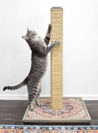 If you don't want them scratching your carpet, don't use it in. Diy Cat Scratching Post Dream A Little Bigger
