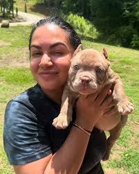 BLOCK BLOODLINE (@southeastbullykennels) • Instagram photos and videos