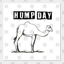Funny camel hump day guess what day it is mike! Camel Funny Hump Day Gift Hump Day Camel Funny Posters And Art Prints Teepublic
