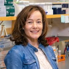 William G. Dunphy (@WG_Dunphy)