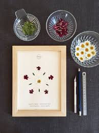 Herbier Marguerite Et Verveine Des Jardins In 2020 Pressed Flower Crafts Pressed Flowers Frame Pressed Flower Art