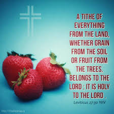 Pin On Best Bible Verses