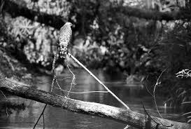 Erica Brough: Year in photos