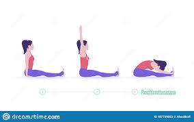 Paschimottanasana Yoga Stock Illustrations 50 Paschimottanasana Yoga Stock Illustrations Vectors Clipart Dreamstime