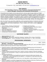 A Professional Resume Template For A Vice President Of Finance Want It Download It Now Executive Resume Template Executive Resume Manager Resume