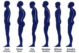 Image result for Posture