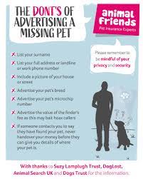 Pet insurance is a good idea for pet owners looking to insulate themselves against possible high vet costs that can be associated with pet ownership. Animal Friends Pet Insurance Company Facebook