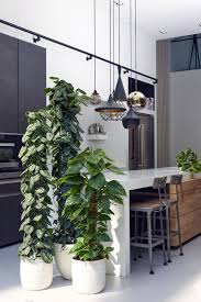 Les Plantes Vertes Deco Et Tendances De La Saison Cdeco Fr Decoration Plantes Interieur Plante Verte Palette Jardin Aromatique
