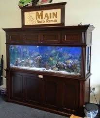 40 Awesome Aquarium Partition For Living Room Ideas In 2020 Fish Tank Cool Fish Tanks Aquarium