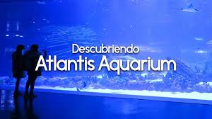 Descubriendo Atlantis Aquarium Madrid Youtube