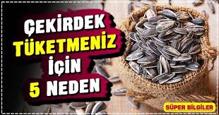 bilinenlerin aksine ay cekirdegi cildi yaglandiran kalp krizi riskini arttiran bir besin maddesi degildir ay cekirdegi bircok onemli an diyet saglikli saglik