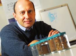 Future Faculty, Immediate Need