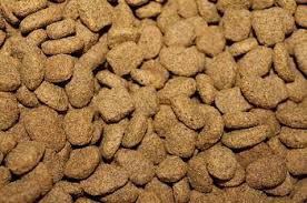 6 Best Dog Foods For Liver Disease Of 2021 Reviews Top Picks