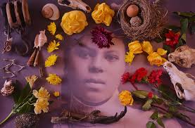 color still lifes — Albert Chong