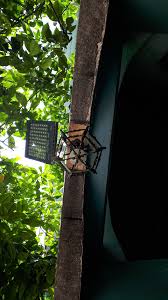 دار الشاعر عدنان مردم بك للآداب و الفنون the poet adnan mardam bey house of literature and arts outdoor decor tree trunk outdoor