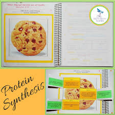 Modern Genetics Life Science Interactive Notebook Interactive Science Notebook Interactive Notebooks Life Science