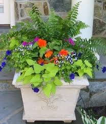 Outdoor Flower Container Ideas Container Flower Garden Ideas Photograph Flower Container Container Flowers Container Garden Design Container Plants