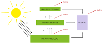 Stanicni Metabolizam Biologija 1