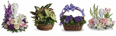 Maybe you would like to learn more about one of these? 9 Picks For Best Flower Delivery In Greensboro Nc Flower Delivery Reviews