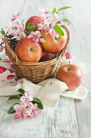 La Pomme Apple Blossom Fruit Apple
