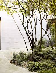 Dan Pearson S Timeless Courtyard Garden For Juergen Teller In 2020 City Garden Small Trees Landscape Design