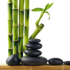 Eurographics Deco Glass Lucky Bamboo 30 Cm X 30 Cm Kaufen Bei Obi Deco Glass Glucksbambus Feng Shui