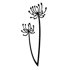 Dandelion black and white svg. Dandelion Svg Cut File Free
