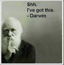 Watch darwin shoppers in the lockdown rush in the video above The Delta Variant Of Covid 19 In The United States And The Ghost Of Charles Darwin Richard Geib