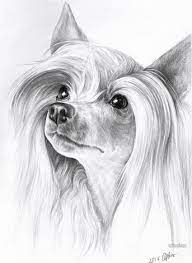 This is a great video to start with if you're new to drawing animals. 35 Beautiful Dog Drawings And Art Works From Top Artists