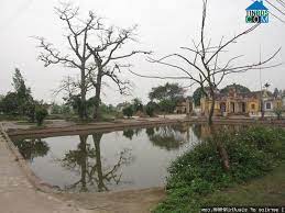 Đỗ trọng, dâm dương hoắc, ba kích, sâm cau, câu kỷ tử. Xa Xuan Chau Huyá»‡n Xuan TrÆ°á»ng Tá»‰nh Nam Ä'á»‹nh