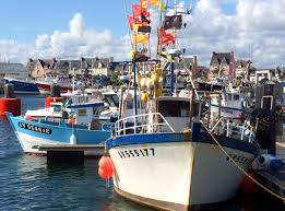 Caseyeurs Dans Le Port De Lechiagat Pays Bigouden