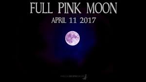 Full Moon Astrology April 11 2017 Predictions And Magical Tips For The Full Pink Moon Fortuna Major The Great Pink Moon Moon Astrology Full Moon Astrology
