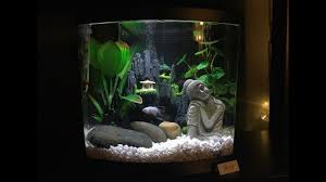 10 best betta tanks of february 2021. Beautiful 2 5 Gallon Betta Tank Top Fin Imagine Youtube