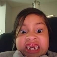 Grid-Tied Solar System Advice for Grande Prairie, Alberta