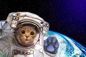 Internet in space: from the ISS to Mars | Kaspersky official blog