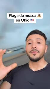 Donde Están Las Mosca En El Carro