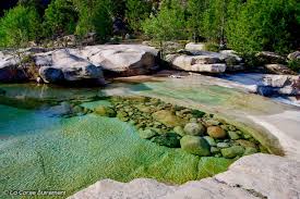 Epingle Sur F Corse Corsica