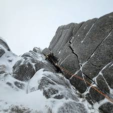 UKC Photos