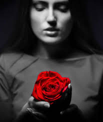 Mujer, Beso Que Sopla, Flor, Rojo, Hembra, Gente, Niña, Vestido Negro,  Moda, Flor Roja, Naturaleza, Labios Rojos, Lápiz Labial, Labios Imagen y  Fotografía Gratis 186128169.