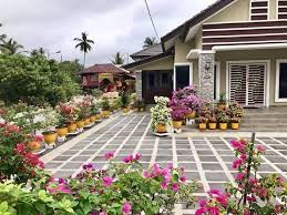 Tetapi beberapa tanaman hias juga punya manfaat yang baik bagi manusia. Cantiknya Tuan Rumah Hias Bunga Depan Kaki Bisnes Viral Facebook