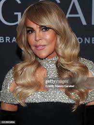 151 Dina Lohan Gala Stock Photos, High-Res Pictures, and Images