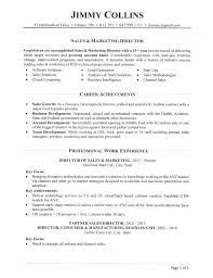 Then i would sketch on a. Resume Samples For Sales Executive Sales Executive Resume Sample